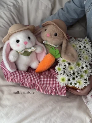 باکس عروسکی خرگوش