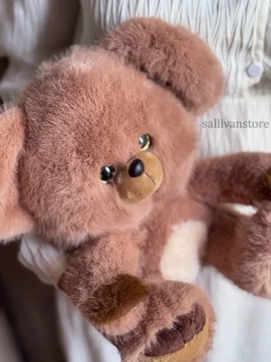 عروسک خرس از نمای نزدیک