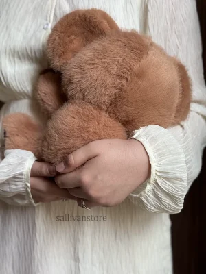 عروسک خرس از نمای پشت